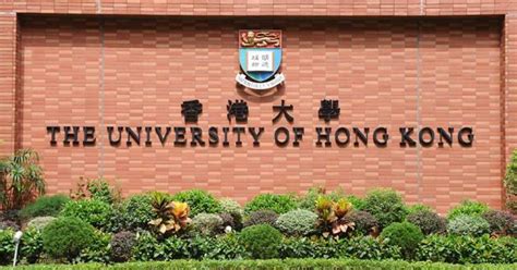 香港九大大學|香港大學排名2024｜十大大學本地排名出爐！港大/中 